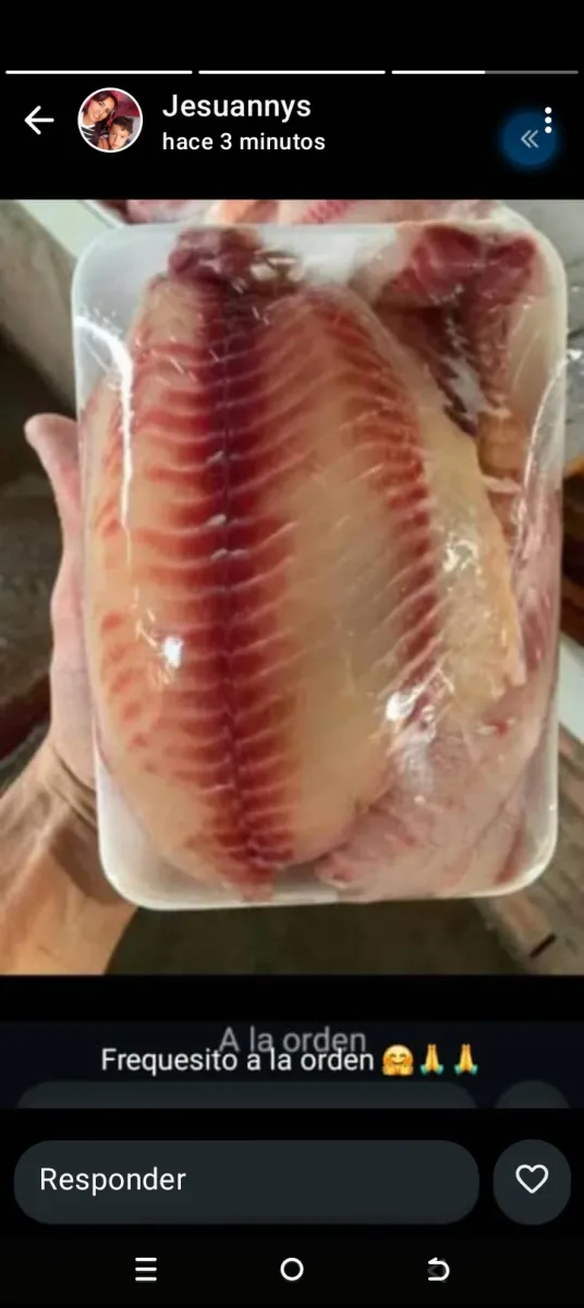 Filete de pescado